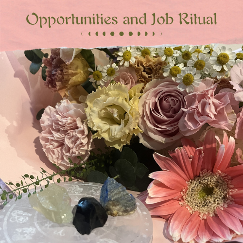 Opportunities and Job Ritual